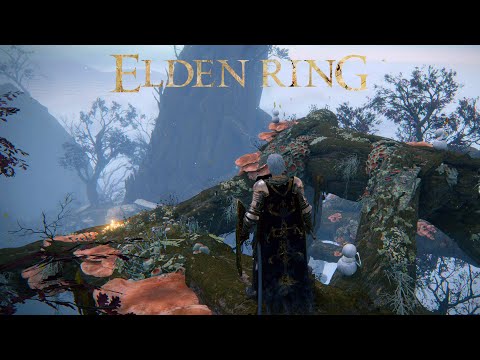 Elden Ring - [Part 43 - Miquella's Haligtree] - 4K60FPS - No Commentary