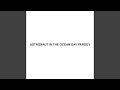 Astronaut In The Ocean Gay Parody