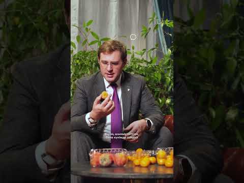 Обзор: сезонные