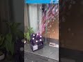 LED Stage Bubble Machine – High Output Bubble Blower with Colorful Lights for Parties, Weddings, and
