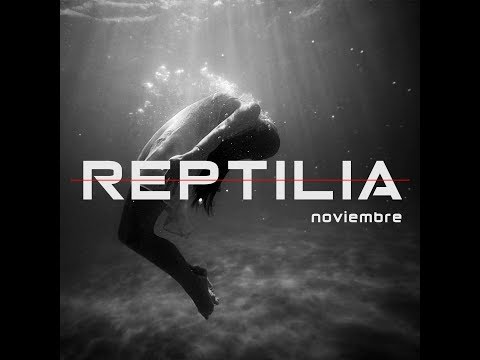 Video de la banda Reptilia