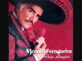 Sin Un Amor-Vicente Fernandez.wmv