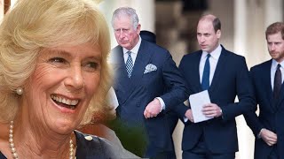 Prince Charles heartbroken when Camilla asked him to divide property clearly between his kids & her