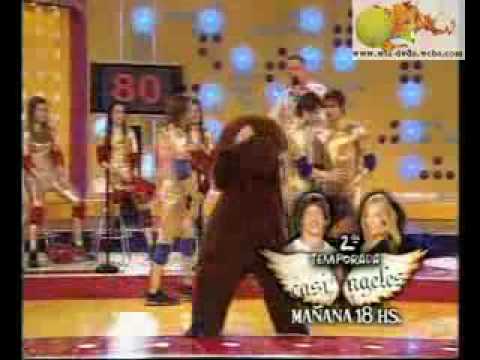 roger_El oso de telefe
