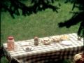 Bicks Picnic