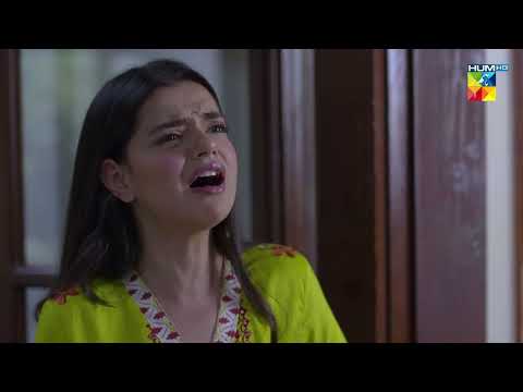 Meesam Abhi Bhi Wafa Mein Involved - Bebaak