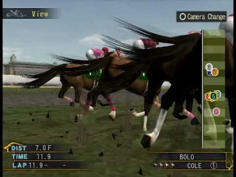 2020 Seeing Stars Zabeel Mile