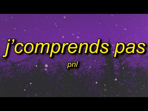 et je comprend pas pourquoi on me comprend pas | PNL - J'Comprends pas (sped up/tiktok) Lyrics