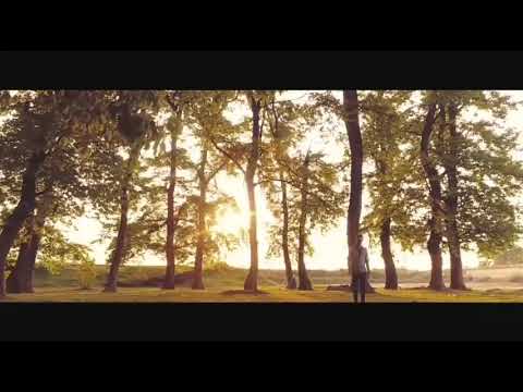 Amirbahador nabizadeh