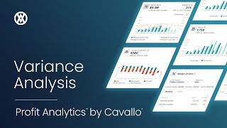 Profit Analytics YouTube Video