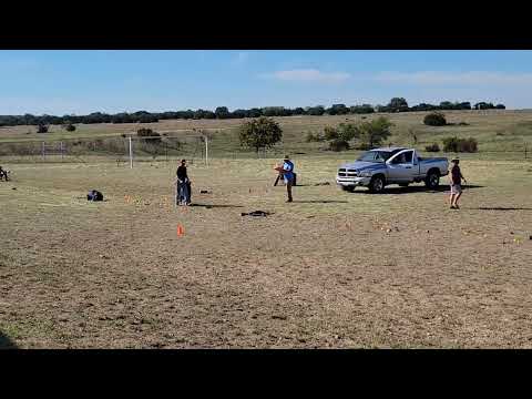 Jasper z Atarova Sadu PSA1 Trial 2022 obedience