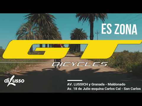 Ahora Maldonado es ZONA GT