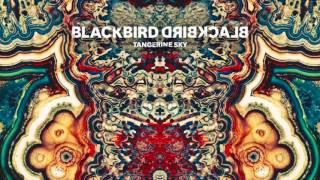 Blackbird Blackbird - Polaris