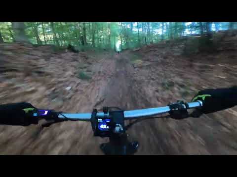 Les brumes d'automne 2025