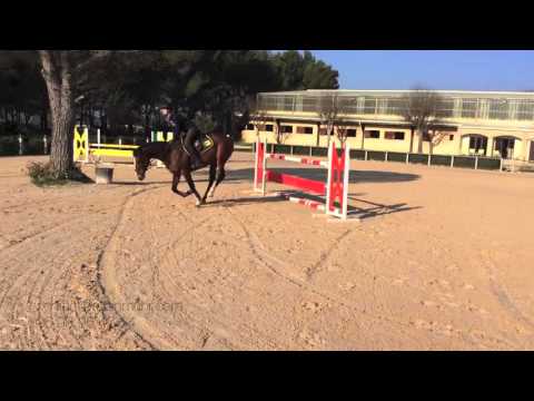 Condor - Entrainement