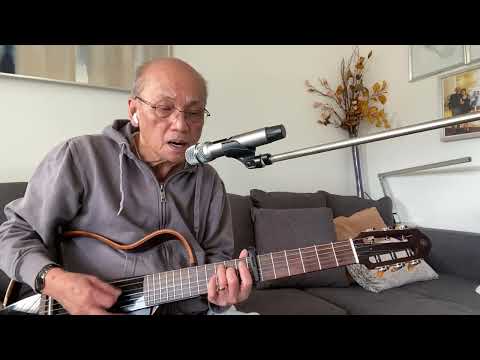 Tình vương Sheet - Thảo Hồ