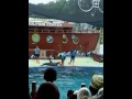 Lumba Lumba