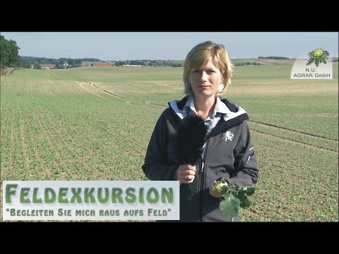 24. Feldexkursion: Raps einkürzen - NU Agrar, 23.09.2015