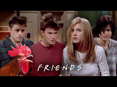 酉になる｜友達 (Becoming a Rooster | Friends)