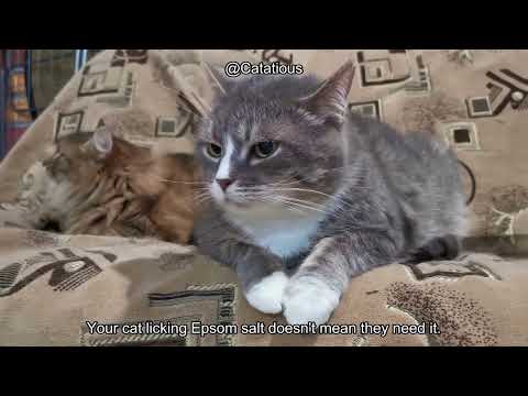 Why Your Cat is Eating Epsom Salt & What You Need to Know for Their Health