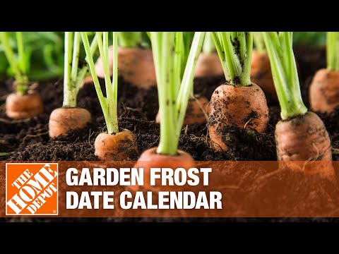 Chicago Last Frost Date