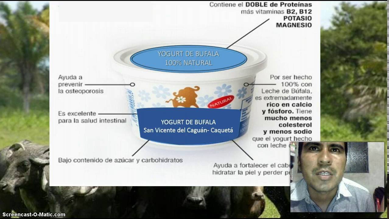 Yogurt de leche de Búfala