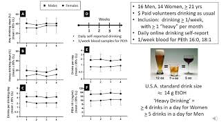 Sensitivity and specificity of PEth as predictor of drinking observed in the past two weeks