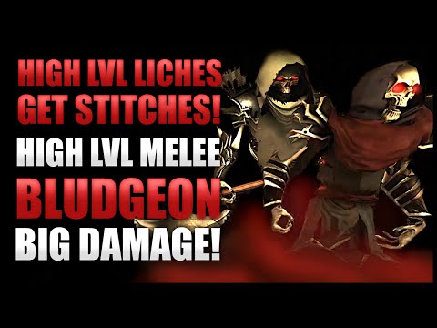 Shroud of the Avatar - High Level Liches Solo