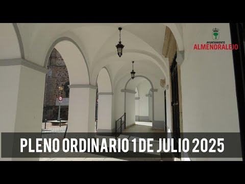 Pleno ordinario de junio