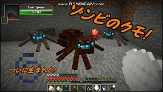 minecraft　スパイダークイーンとして生きる！part6【ゆっくり実況】