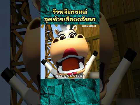 วัวหนีตาย แต่สุดท้ายเลือกกลับมา #shorts  #cartoon #การ์ตูน
