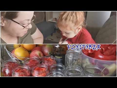 VLOGTOBER #14- Am racit?