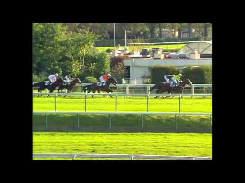 Polivalente Race " Prix Maurice Gillois " Gr 1 Auteuil - 6/11/2005