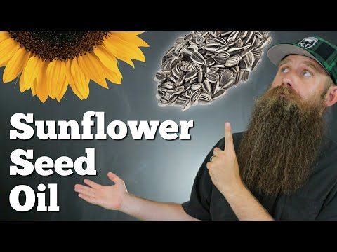 Sunflower Seed Oil [Carrier Oils 101]