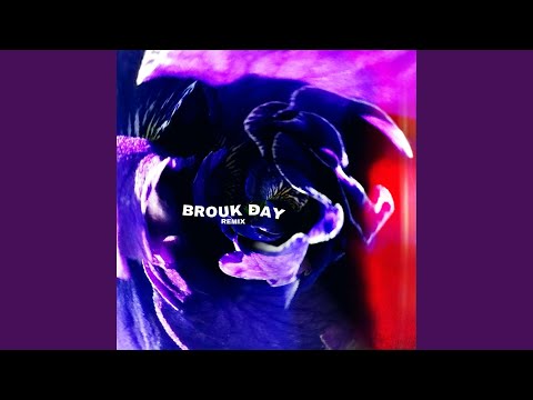Brouk Day (Remix)