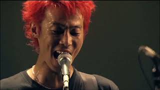 Hi-Standard  - Summer of Love  (Live 2011)