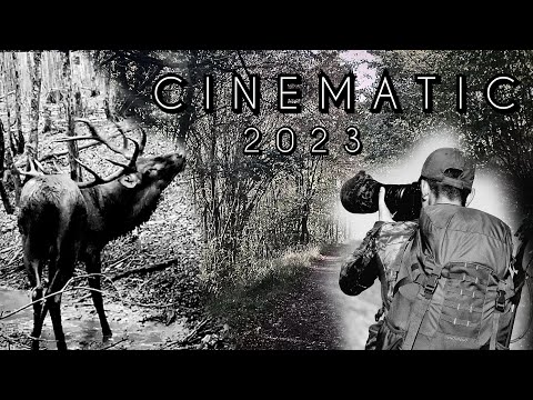 CINEMATIC | BRAME DU CERF 2023 | (forêt de Grésigne)