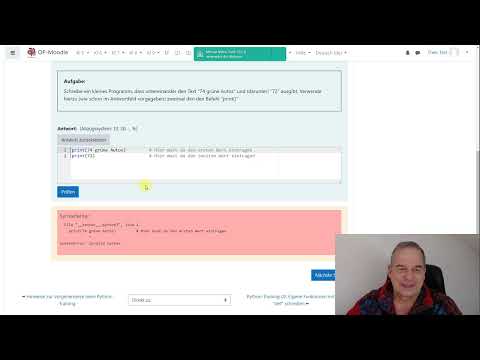 Vorstellung 3: Python-Programmier-Training