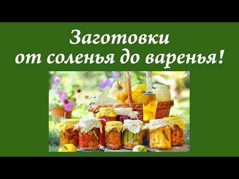 Миниатюра изображения товара Ключ для винтовых крышек Мультидом DH13-23