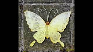 Bill Callahan - Riding for the feeling