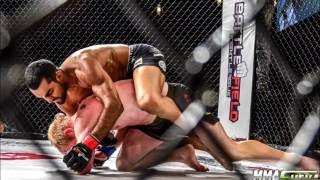 Saint Lion Entrance Song 2014