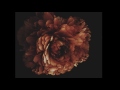 Arcana - Amber
