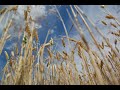 Glenn Yarbrough - The Honey Wind Blows,  (Music Video) (audio redone)