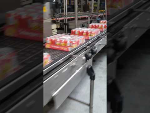 Kisters and Paletizer