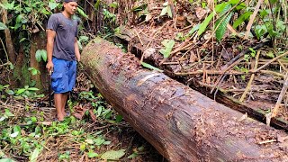 Download lagu Kayu ulin jaman dulu. Tak lekang oleh waktu. Full video hingga akhir mp3