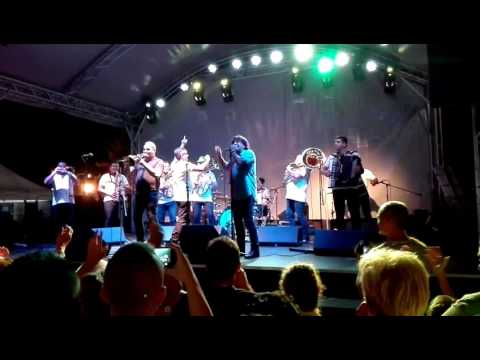 Boban Markovic Rozé fesztivál Mohács