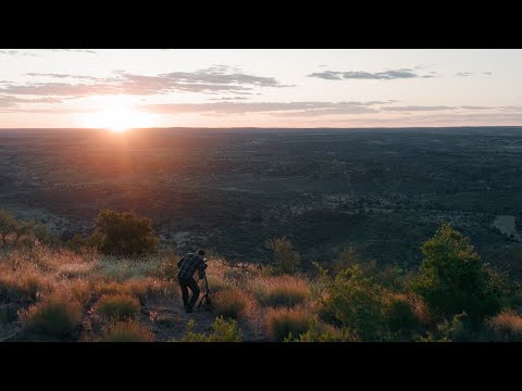 Leica apo televid 65 w