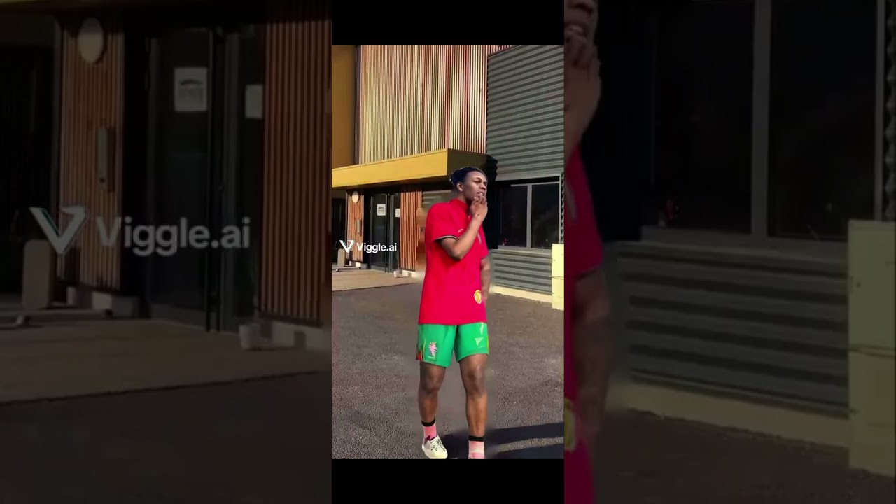 My first viggle ai video