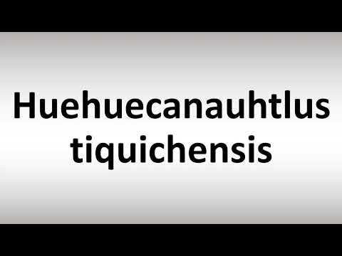 How to Pronounce Huehuecanauhtlus tiquichensis