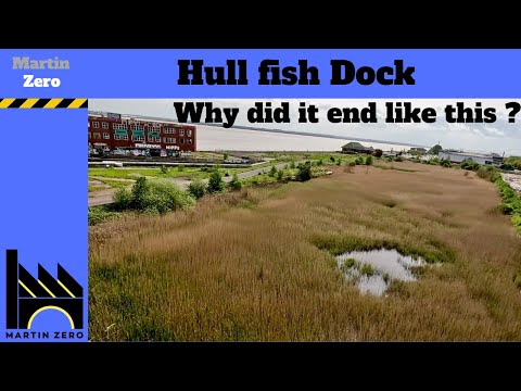 Hull fish Docks. Why did it end like this ?